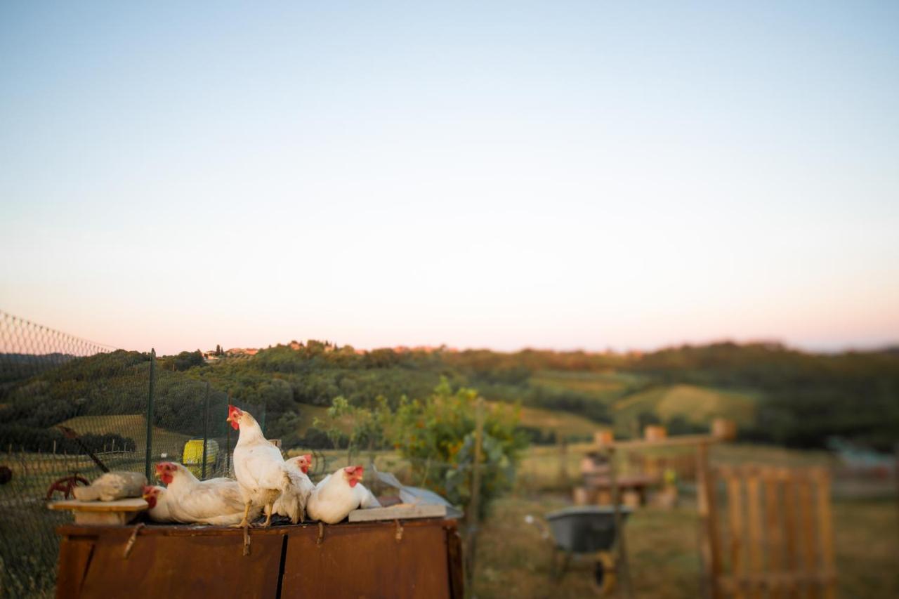 Agriturismo Le Tre Pietre - Podere Nel Chianti Quercegrossa Dış mekan fotoğraf