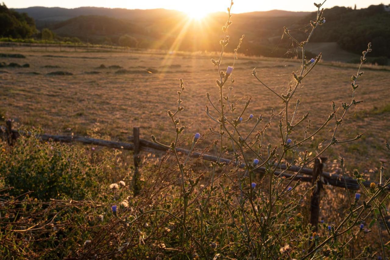 Agriturismo Le Tre Pietre - Podere Nel Chianti Quercegrossa Dış mekan fotoğraf