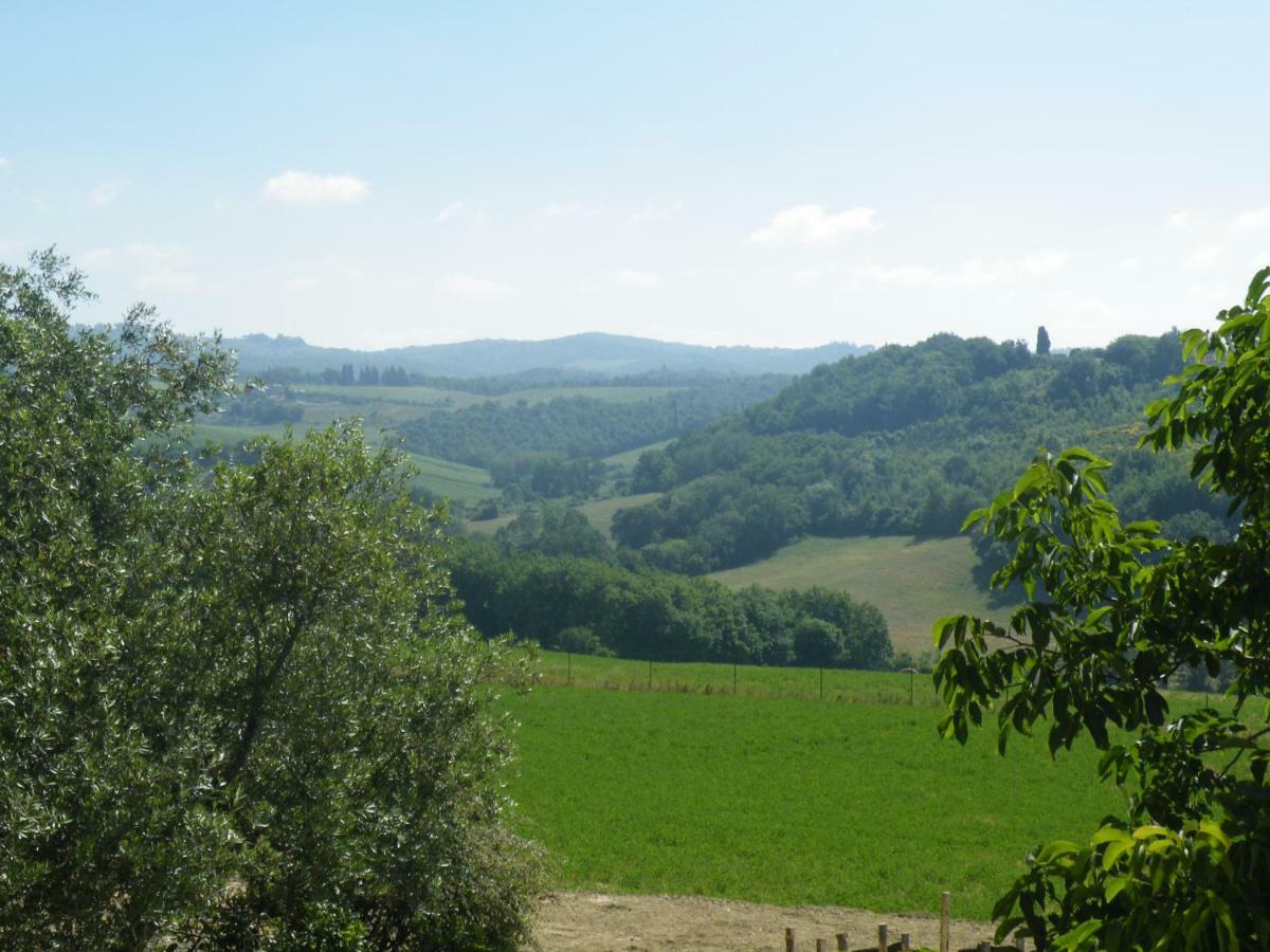 Agriturismo Le Tre Pietre - Podere Nel Chianti Quercegrossa Dış mekan fotoğraf