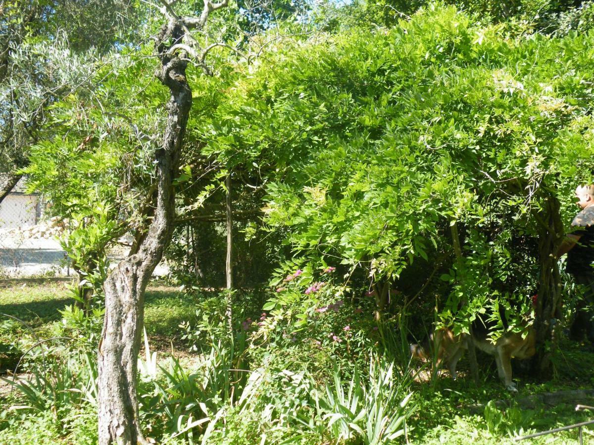 Agriturismo Le Tre Pietre - Podere Nel Chianti Quercegrossa Dış mekan fotoğraf